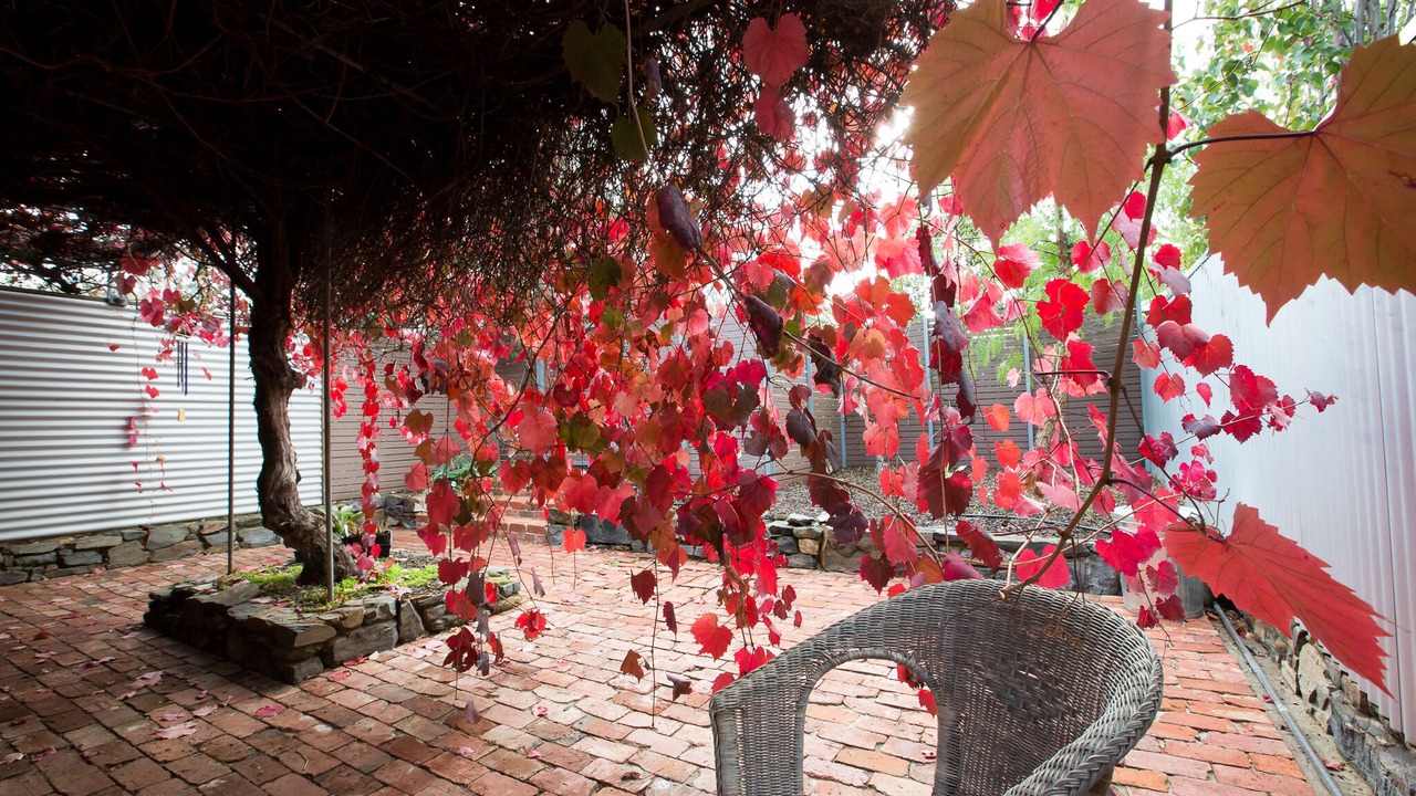 Photo of Patio Balcony in Strathalbyn