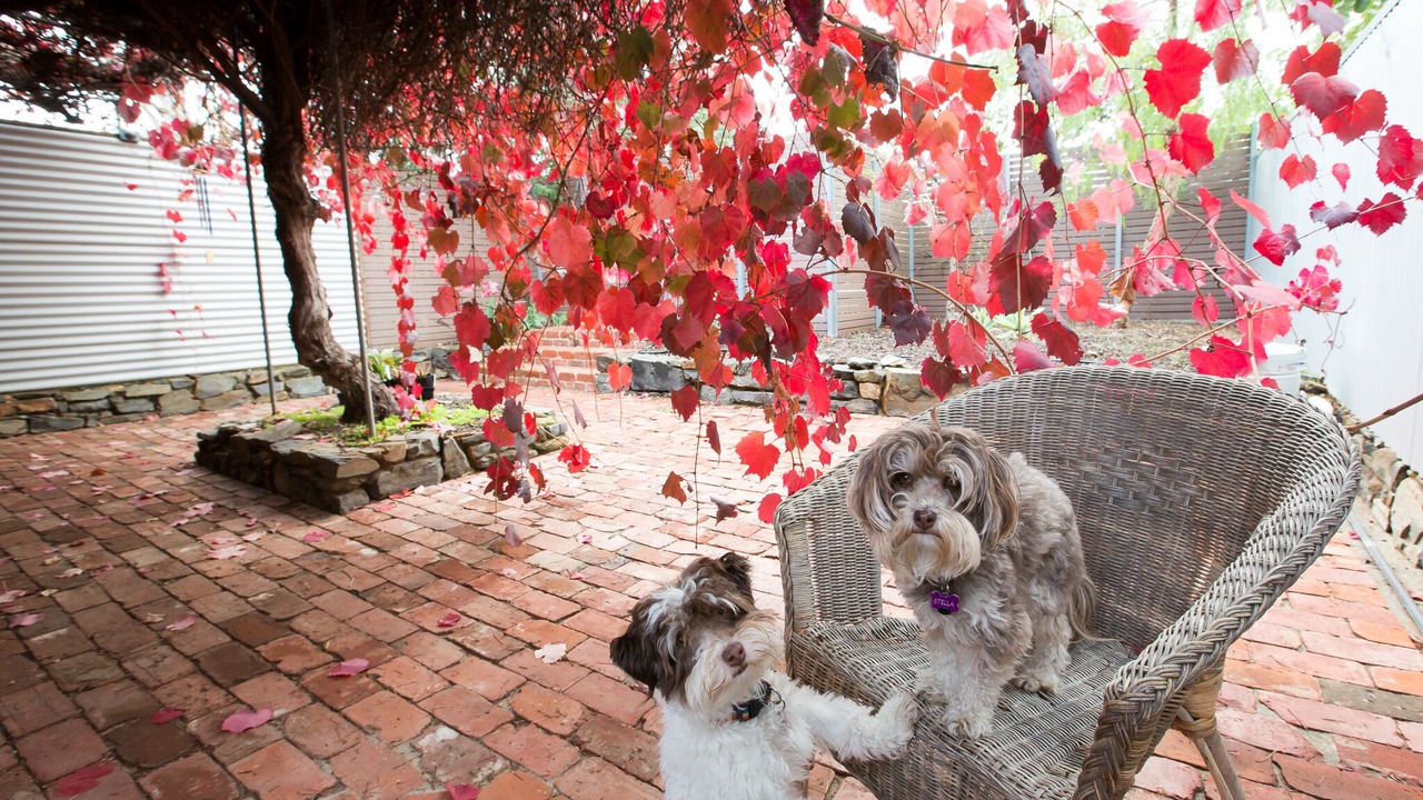 Photo of Patio Balcony in Strathalbyn