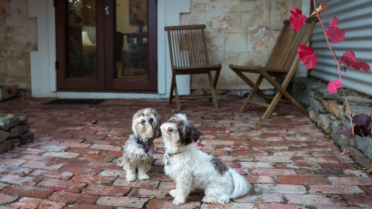 Photo of Outdoor in Strathalbyn
