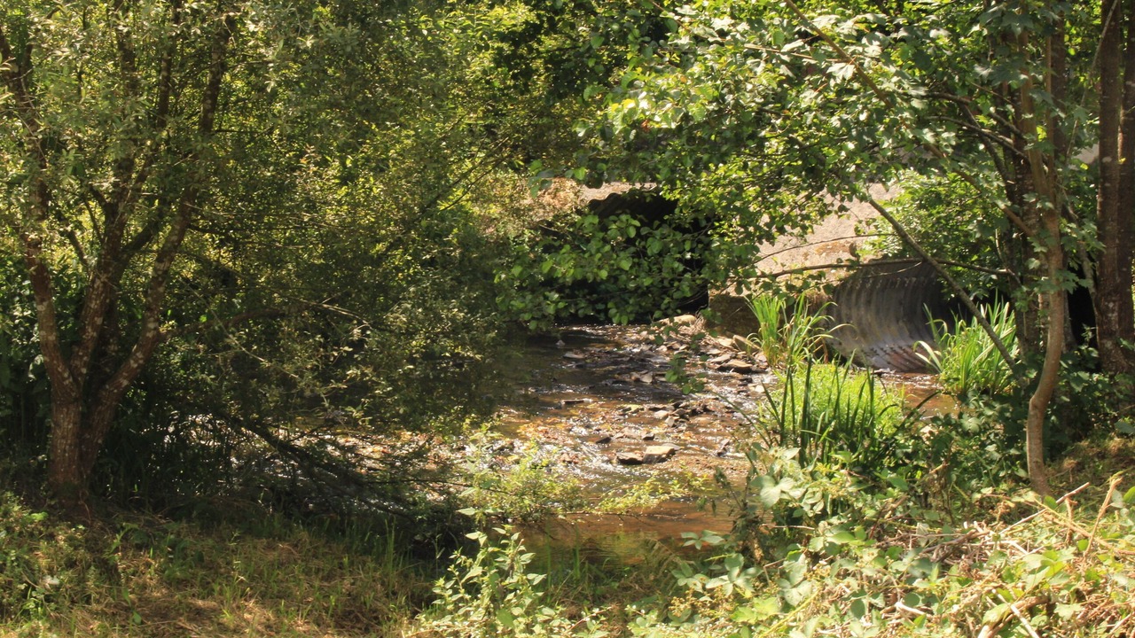 Photo of Outdoor in Saint-Yrieix-la-Perche