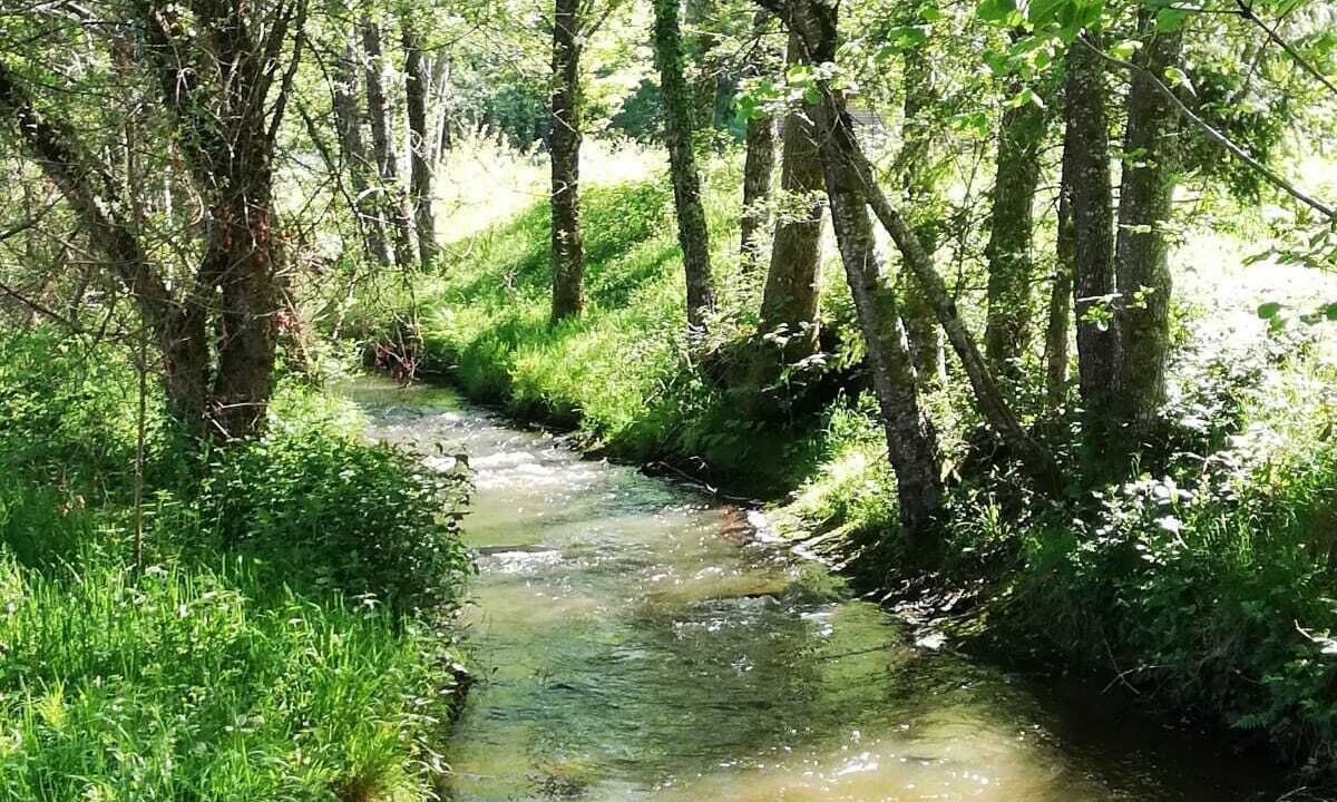 Photo of Outdoor in Saint-Yrieix-la-Perche