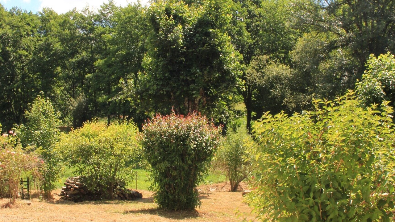 Photo of Outdoor in Saint-Yrieix-la-Perche