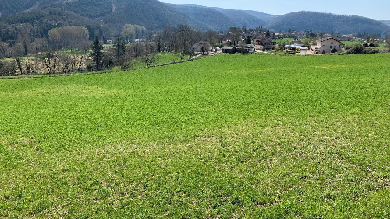 Photo of Outdoor in Saint-Gery
