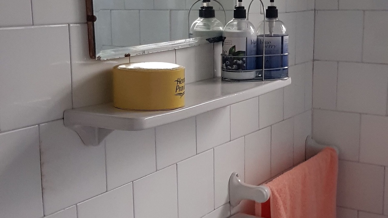 Photo of Bathroom in Torres
