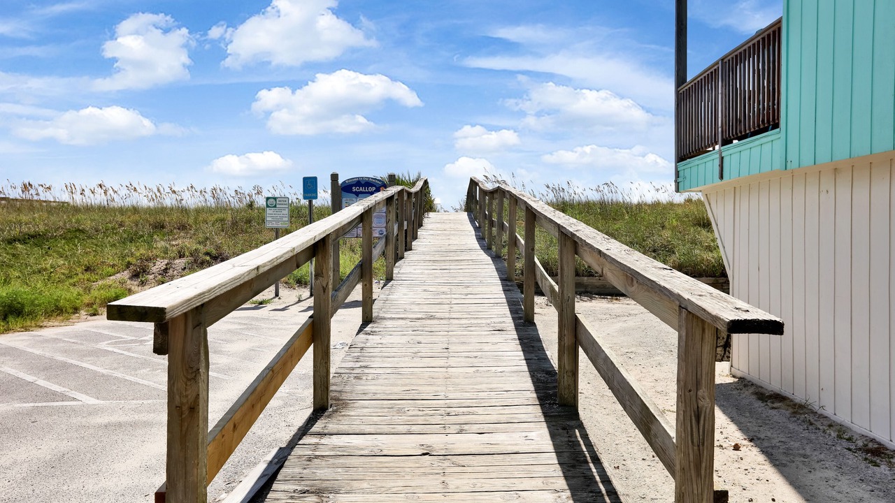 Photo of Outdoor in North Carolina Coast
