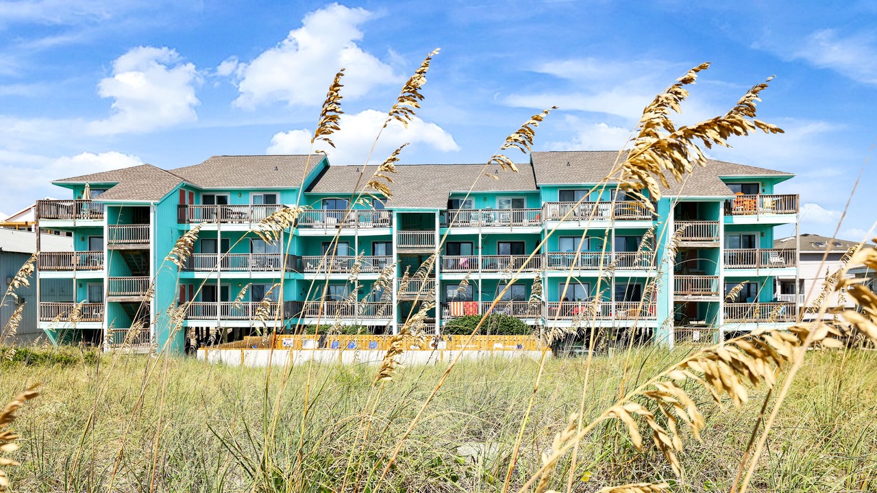 Photo of Outdoor in North Carolina Coast