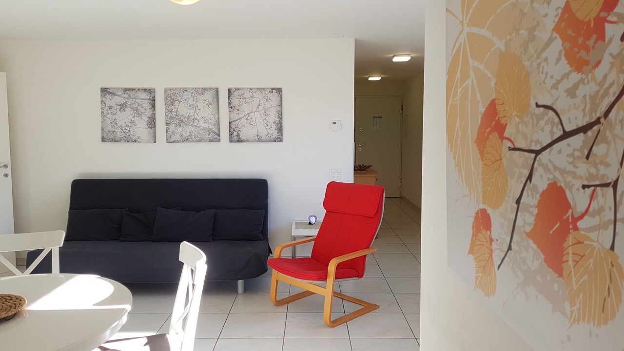 Photo of Livingroom in Locarno