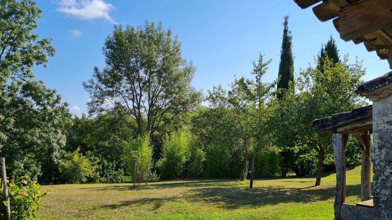 Photo of Outdoor in Touffailles
