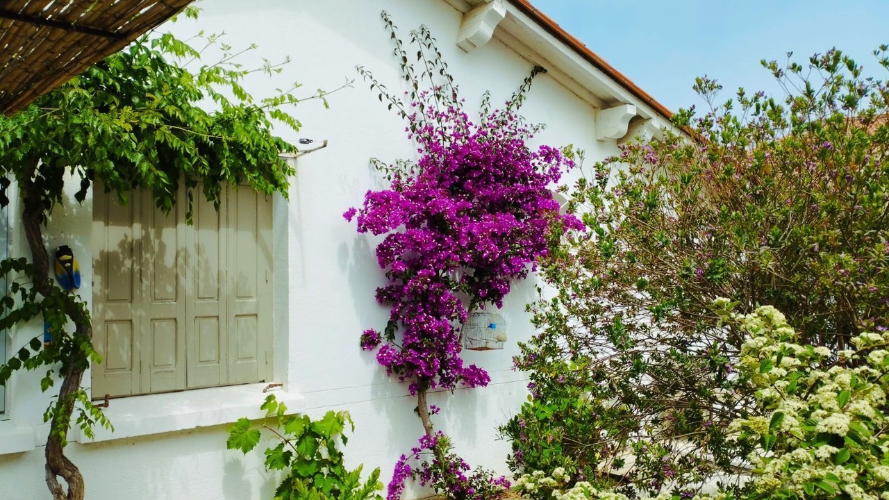Photo of Outdoor in Canet-en-Roussillon