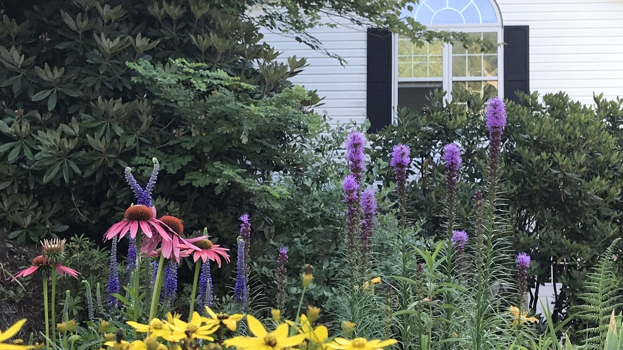 Photo of Outdoor in Fleetwood