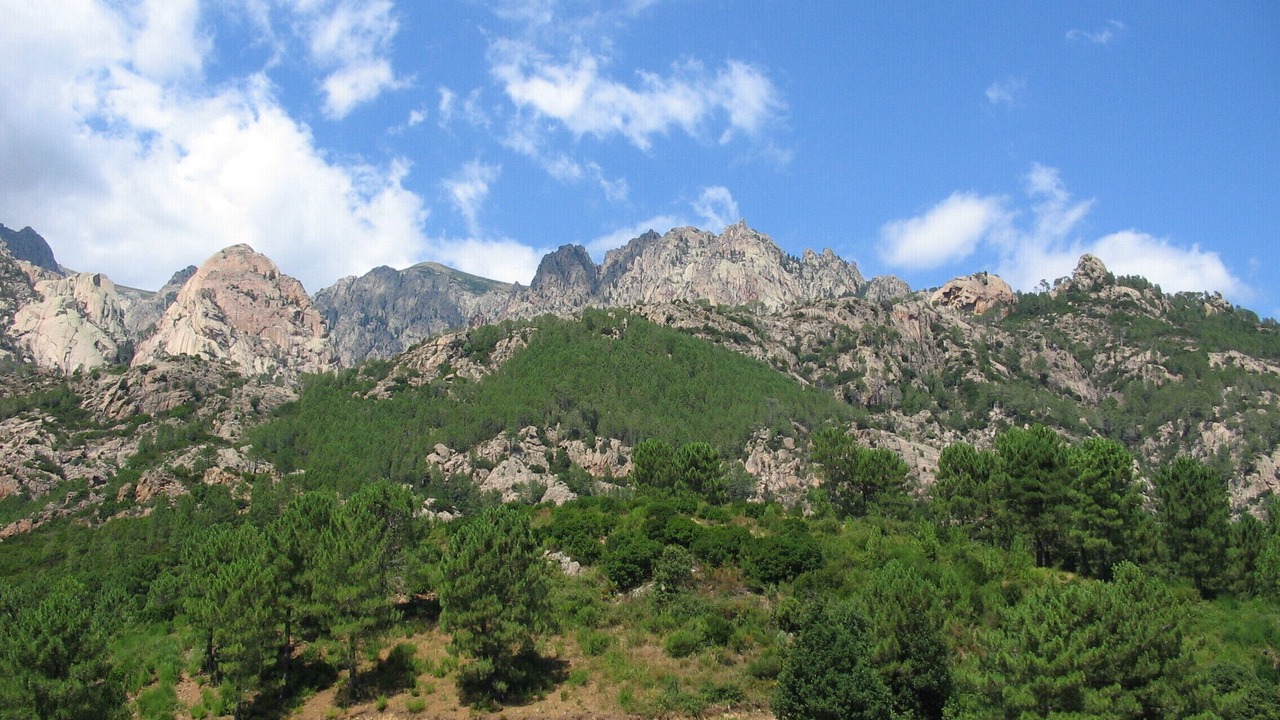 Photo of Others in Hameau de Palombaggia