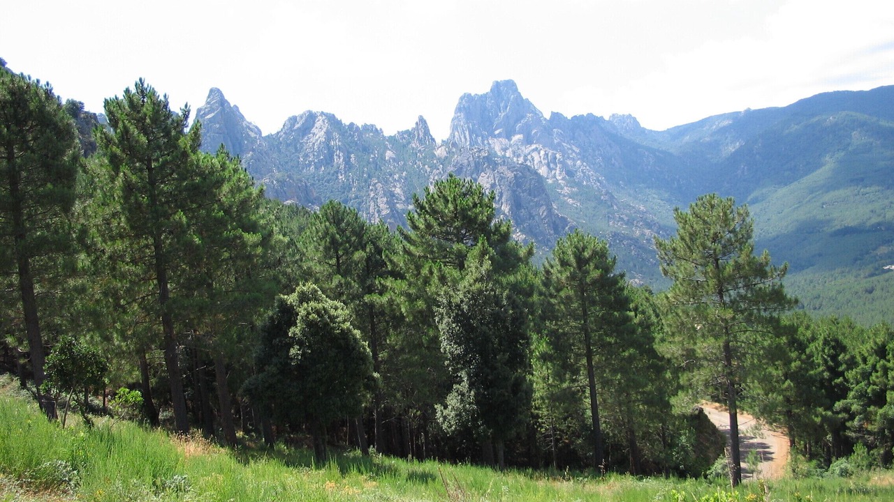 Photo of Outdoor in Hameau de Palombaggia