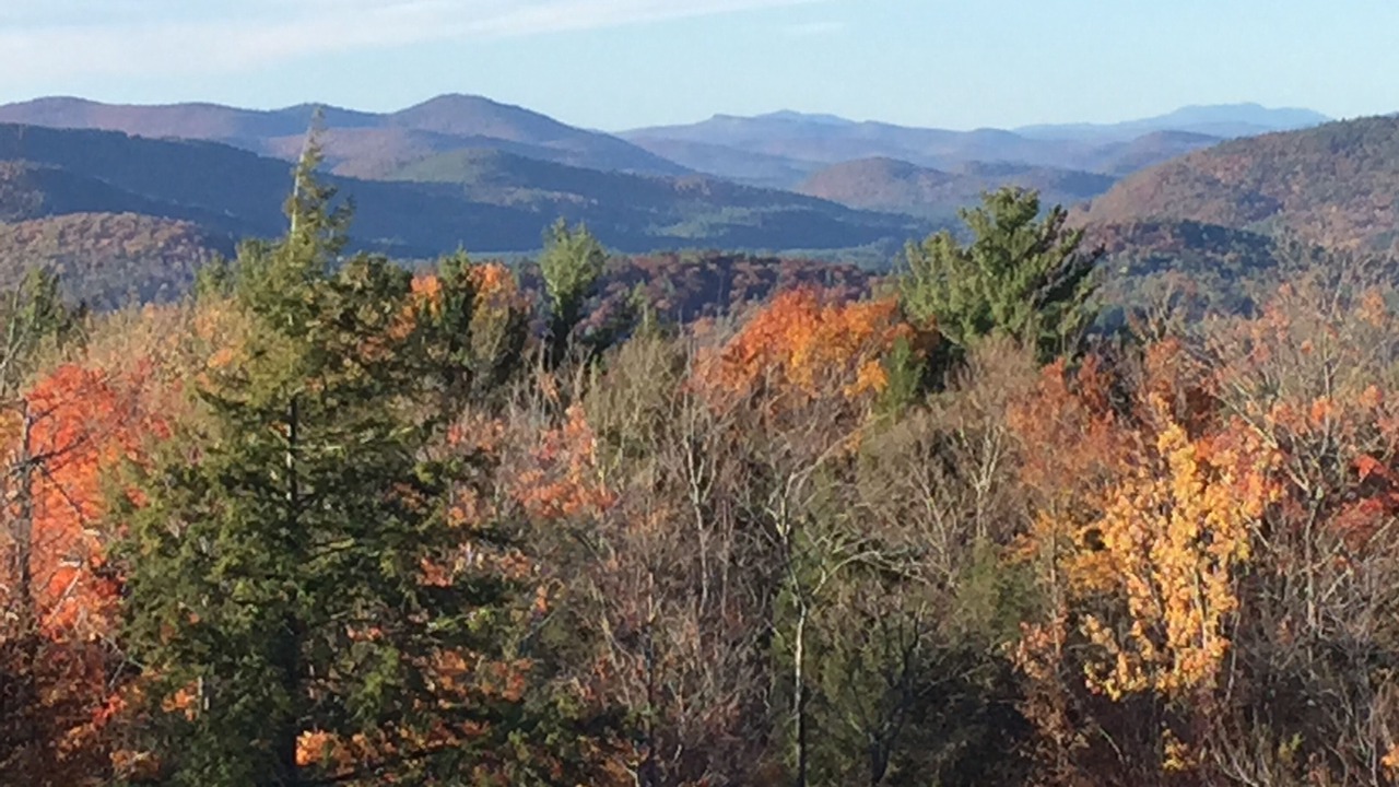 Photo of Others in Lake George