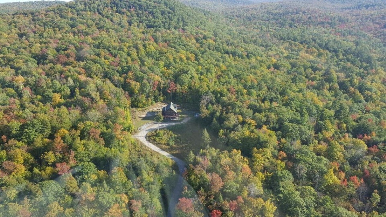 Photo of Others in Lake George