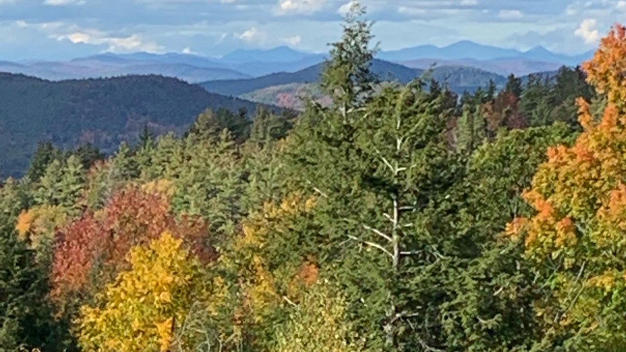 Photo of Others in Lake George