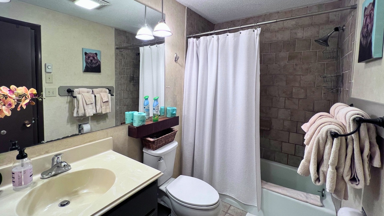 Photo of Bathroom in Sugar Mountain