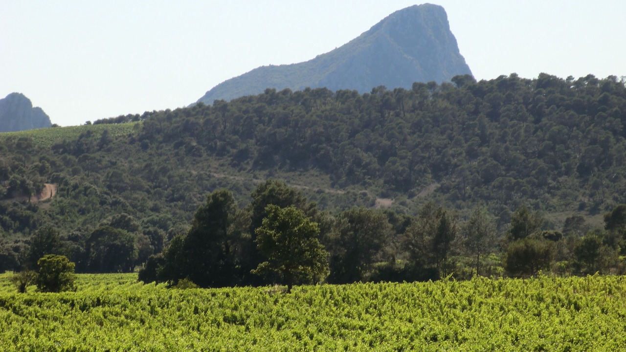 Photo of Outdoor in Fontanes