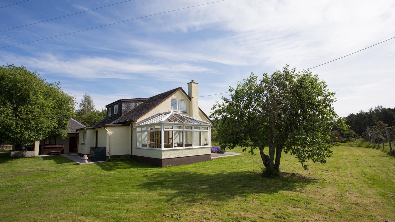 Photo of Others in Contin