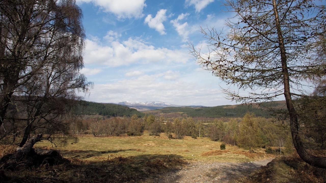 Photo of Others in Contin