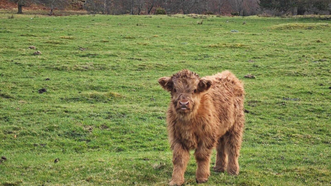 Photo of Others in Contin