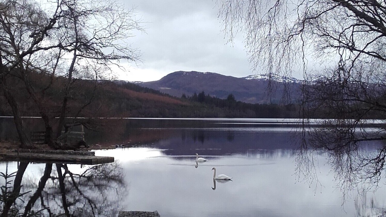 Photo of Others in Contin