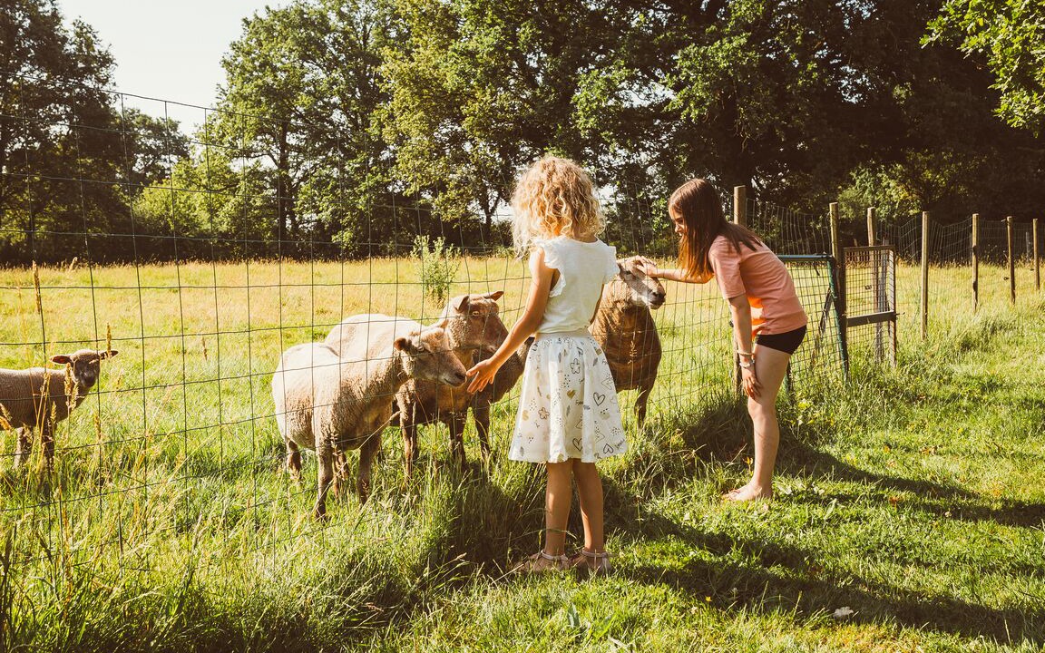 Photo of Others in Mouilleron-le-Captif