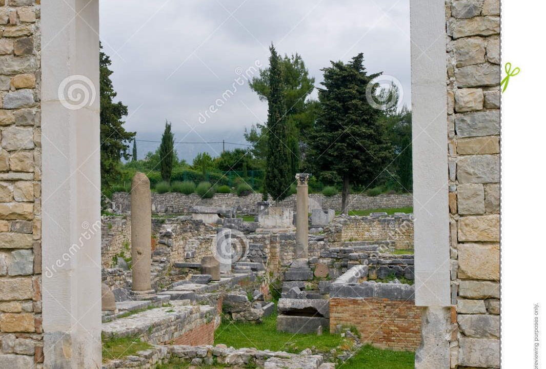 Photo of Others in Dicmo