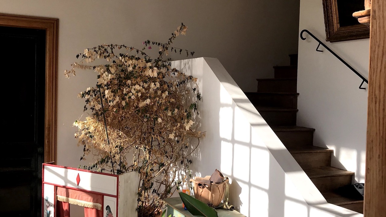 Photo of Others in Plouha