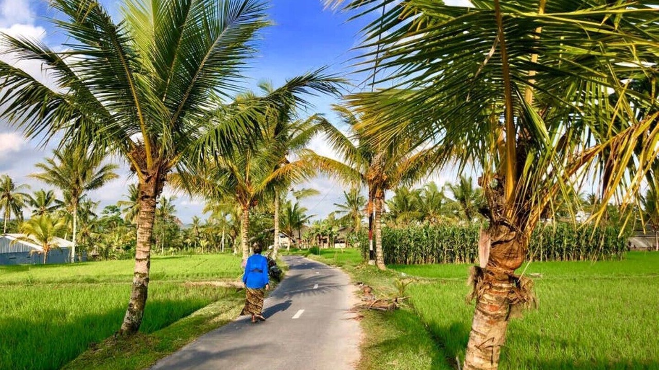 Photo of Outdoor in Sandik