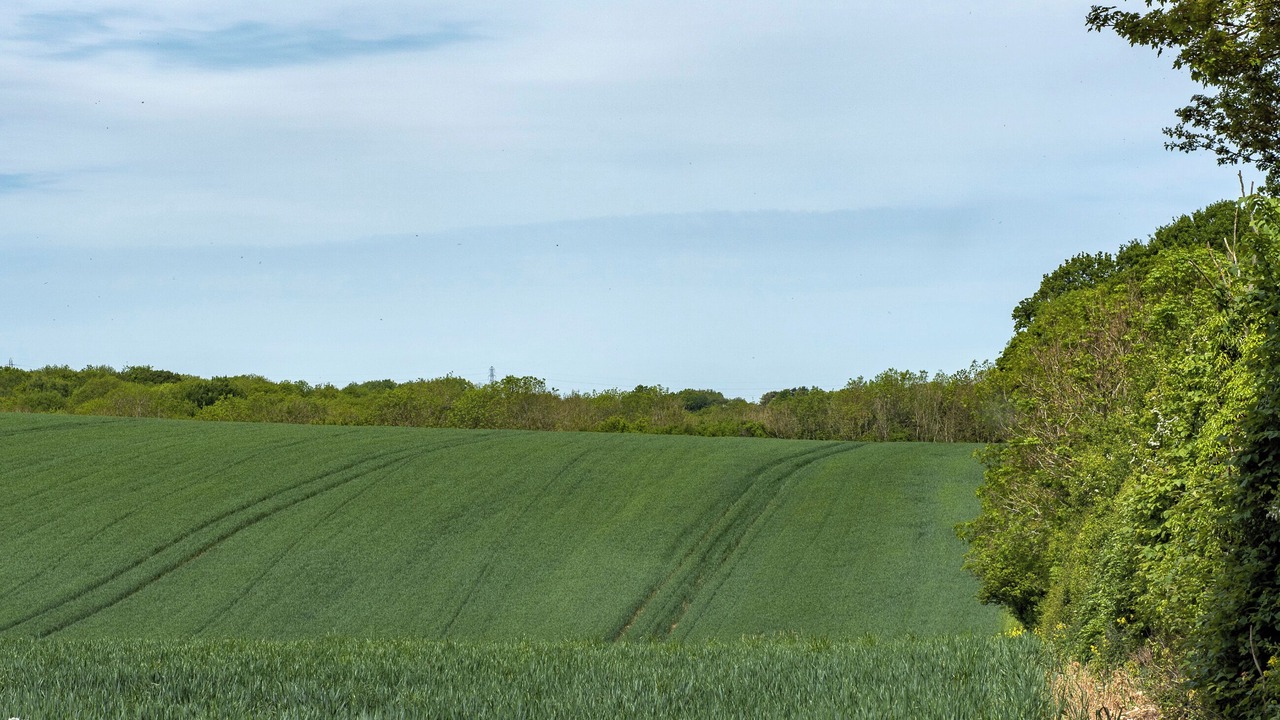 Photo of Others in Sittingbourne