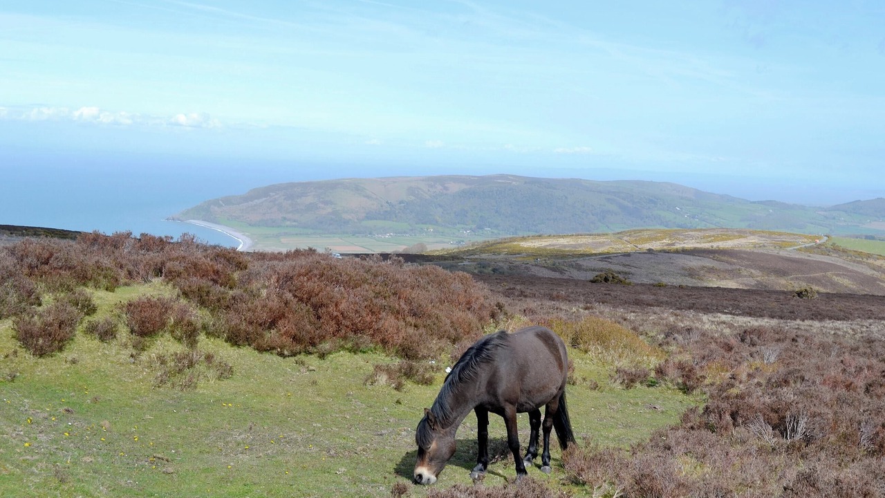 Photo of Others in Hele