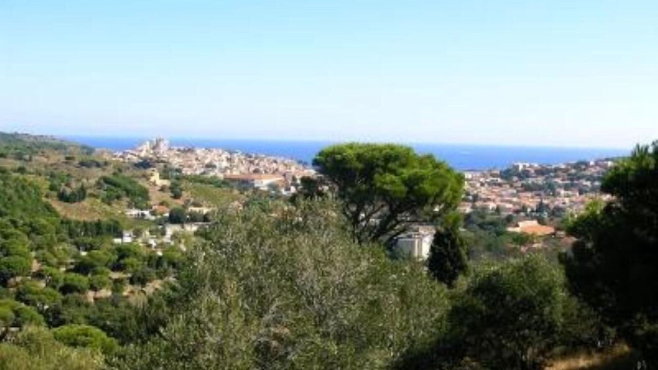 Photo of Others in Banyuls-sur-Mer