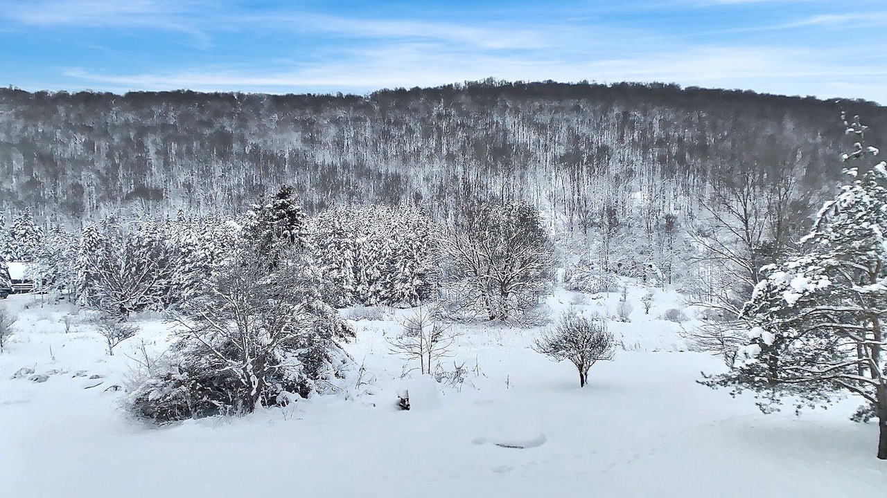 Photo of Others in Ellicottville