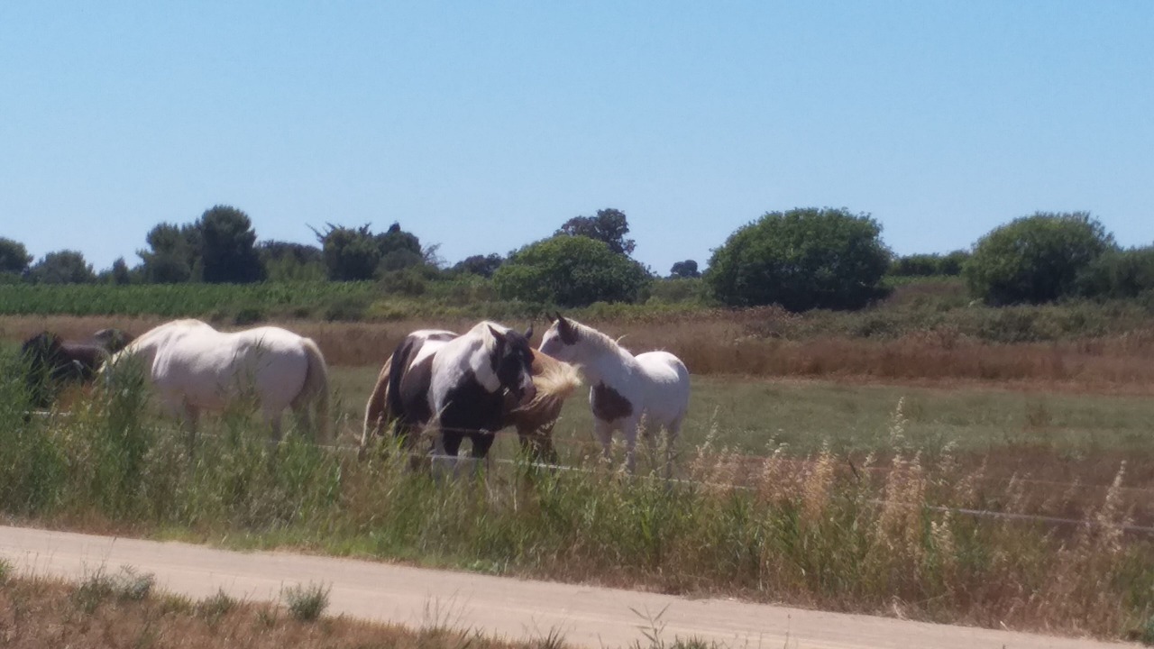 Photo of Outdoor in Vic-la-Gardiole