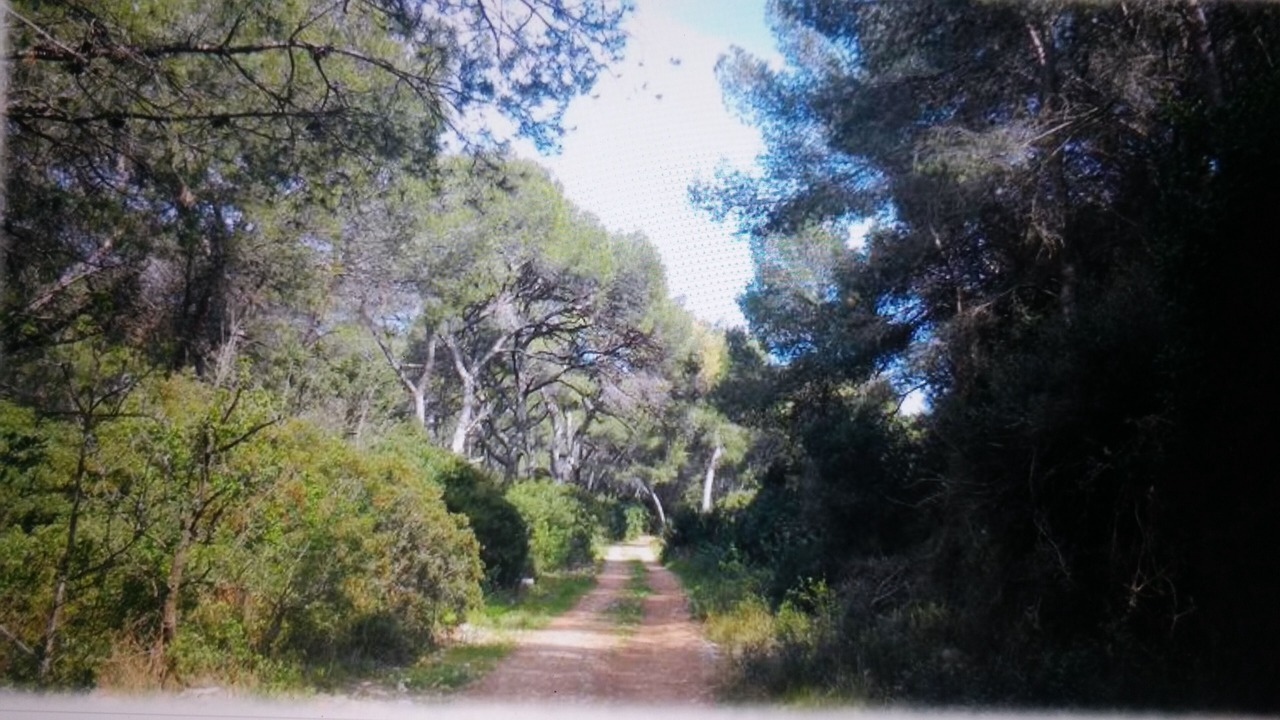 Photo of Outdoor in Vic-la-Gardiole