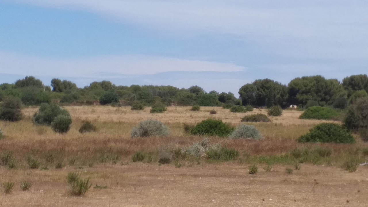 Photo of Outdoor in Vic-la-Gardiole