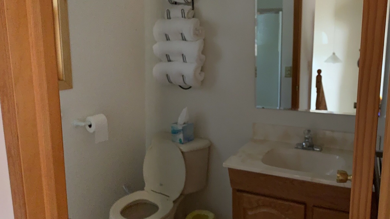 Photo of Bathroom in Osceola