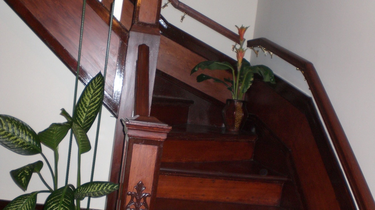 Photo of Others in Inner Sunset