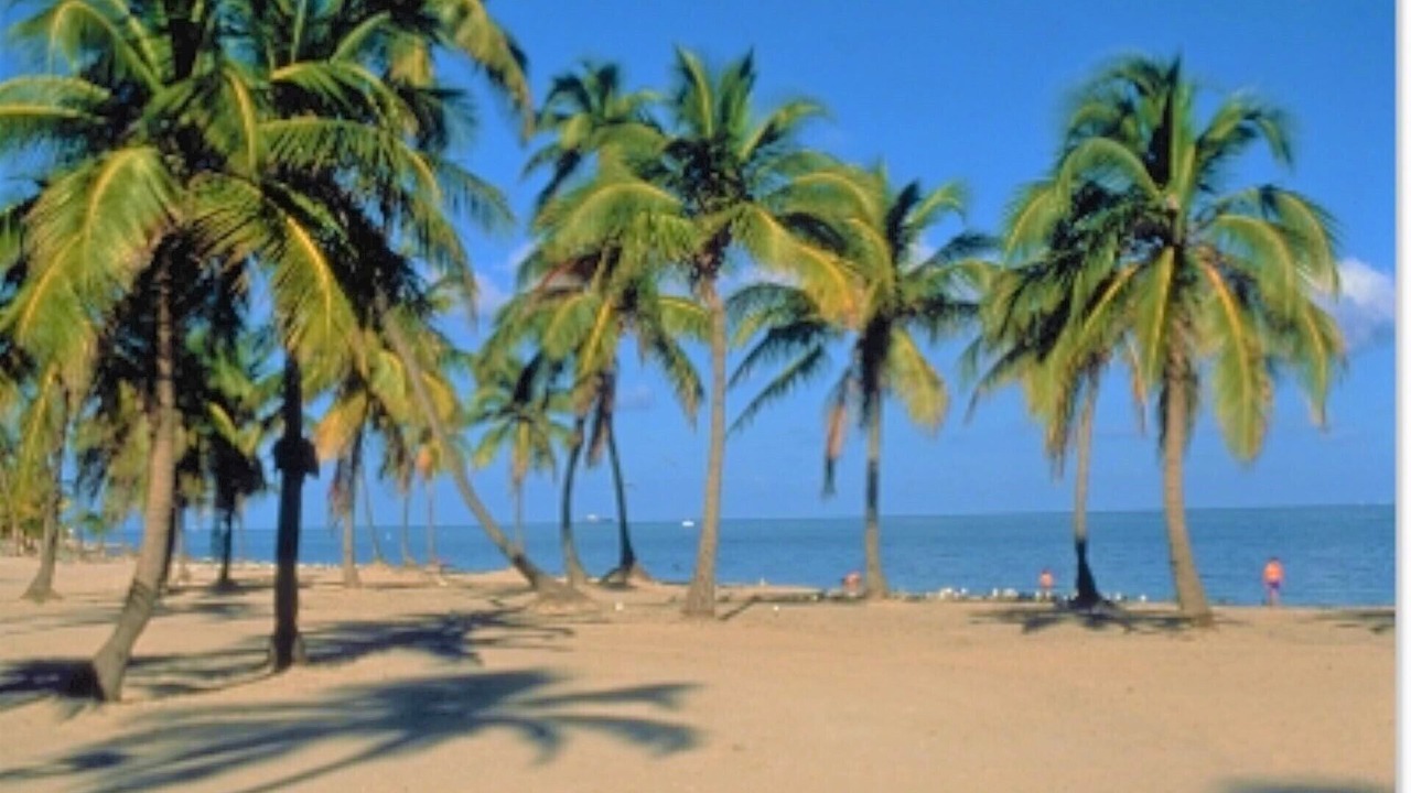 Photo of Others in Key Biscayne