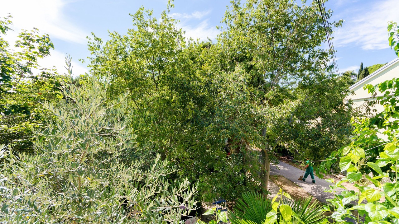Photo of Outdoor in Rovinj