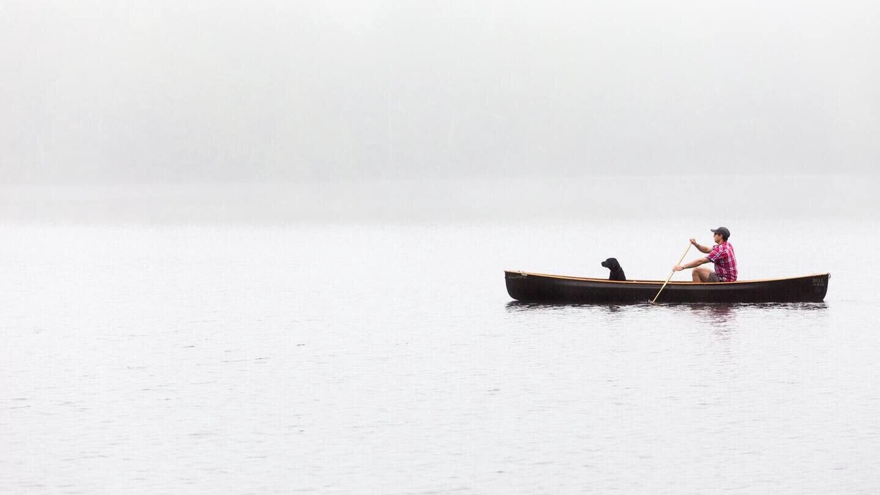 Photo of Others in Springdale