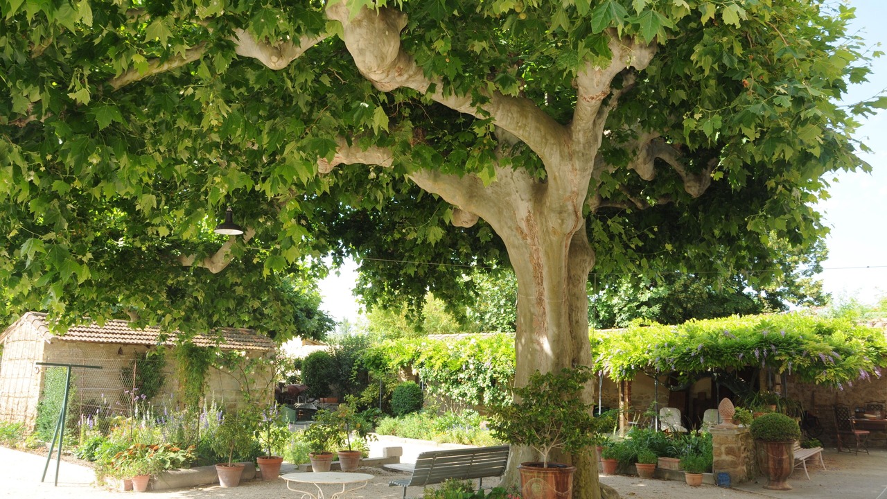 Photo of Outdoor in Althen-des-Paluds