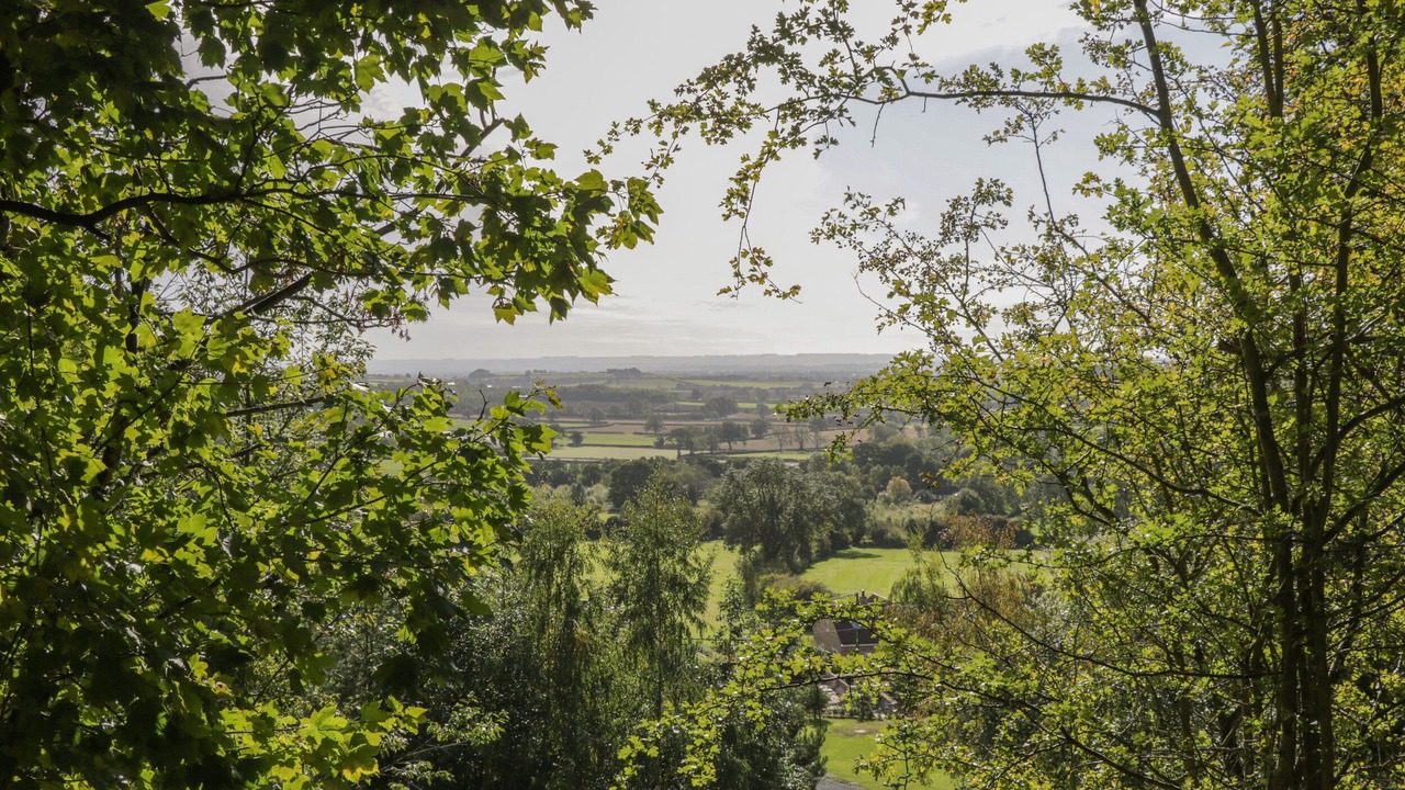 Photo of Others in Kirkbymoorside