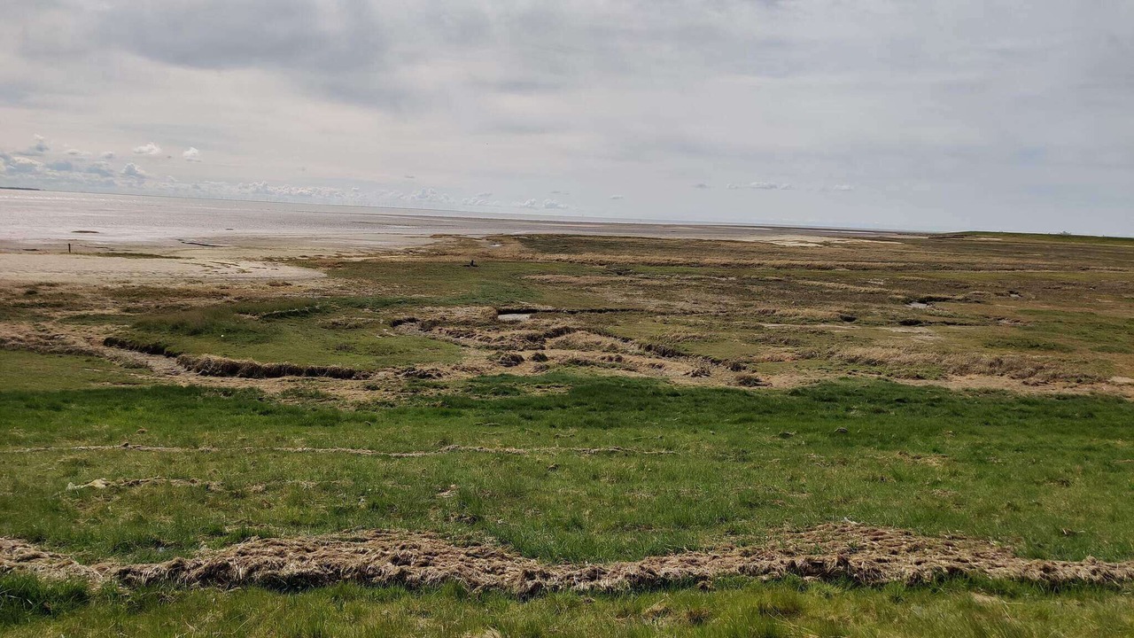Photo of Others in Sønderstrand