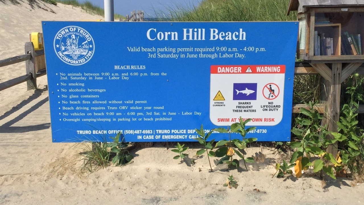 Photo of Others in Truro