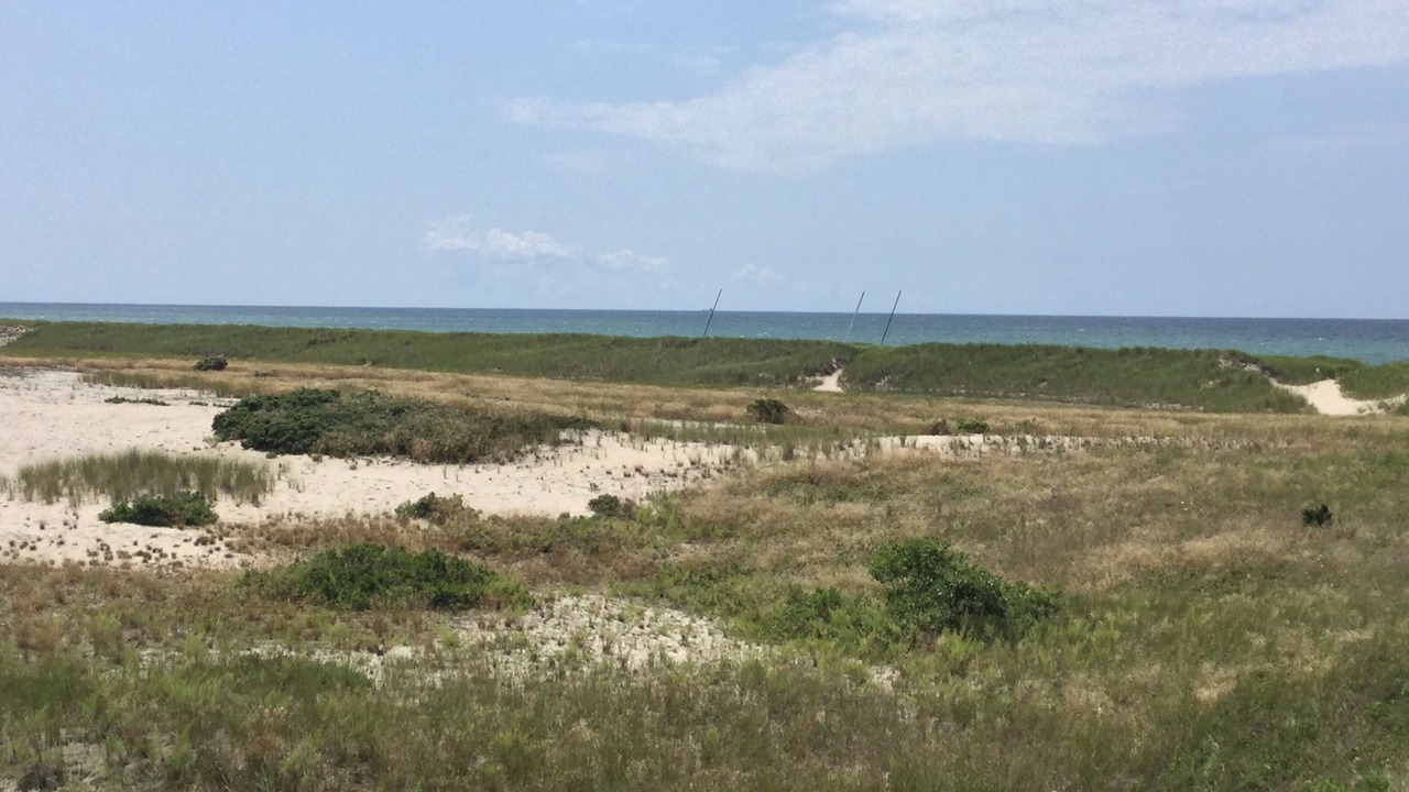 Photo of Others in Truro