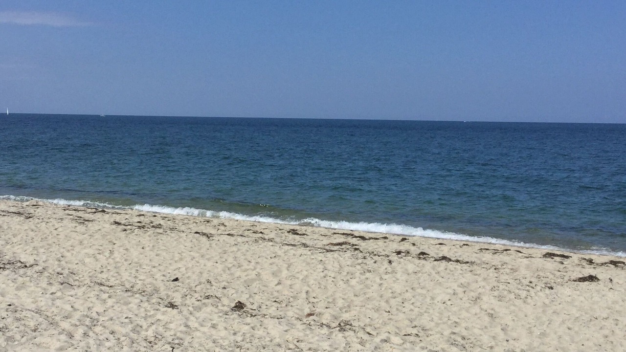 Photo of Others in Truro