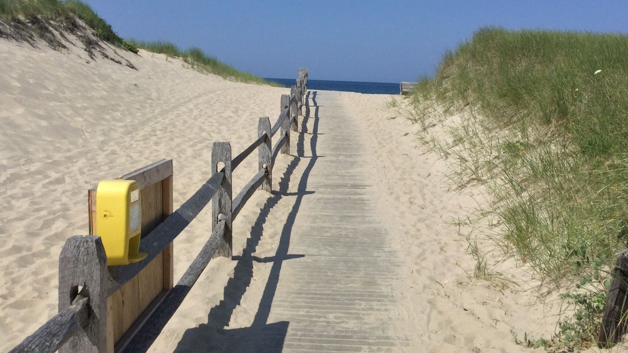 Photo of Others in Truro