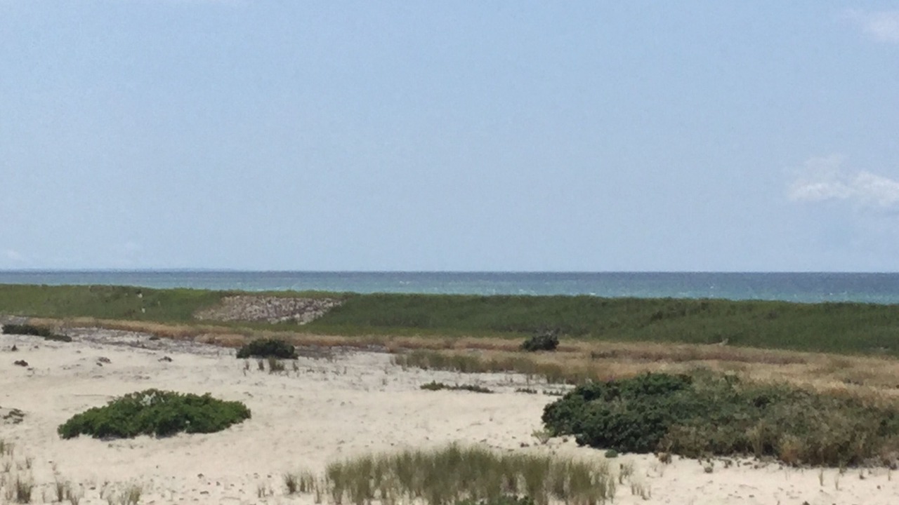 Photo of Others in Truro