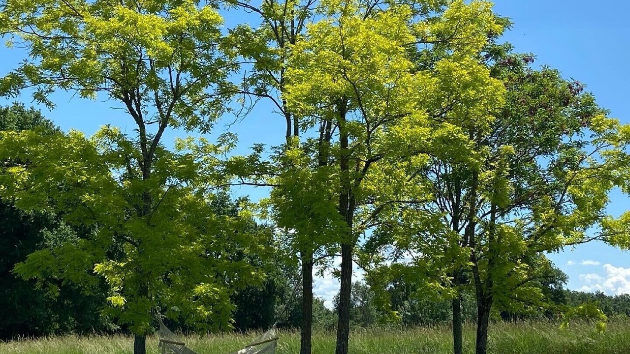 Photo of Outdoor in Monestier